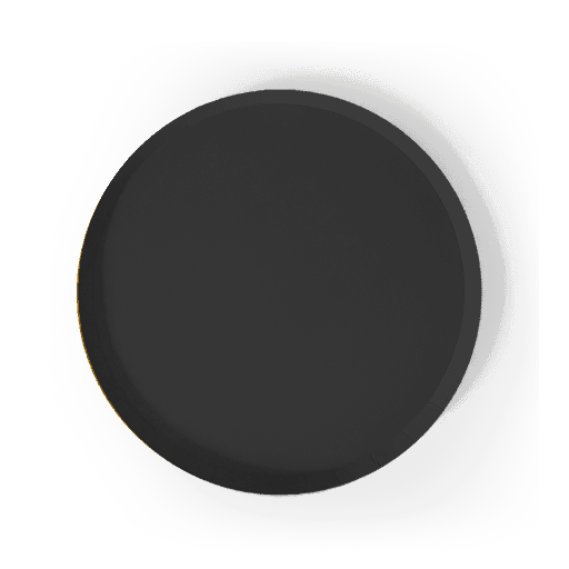 Black Paper Party Plate (8pcs) - Josi James - 9 Inch Plate