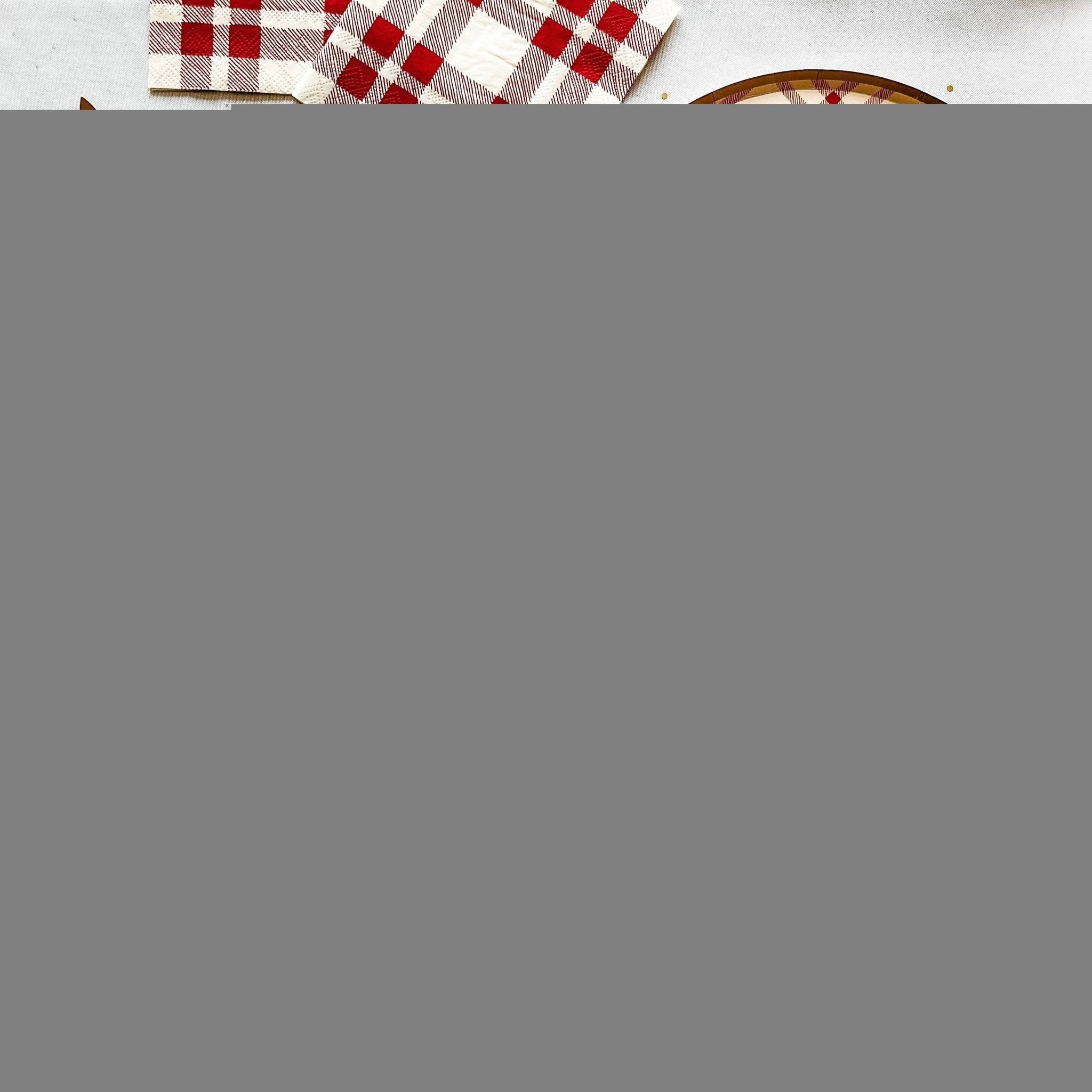 Farmhouse Red Plaid Paper Party Plate (8pcs) - Josi James - 9 Inch Plate