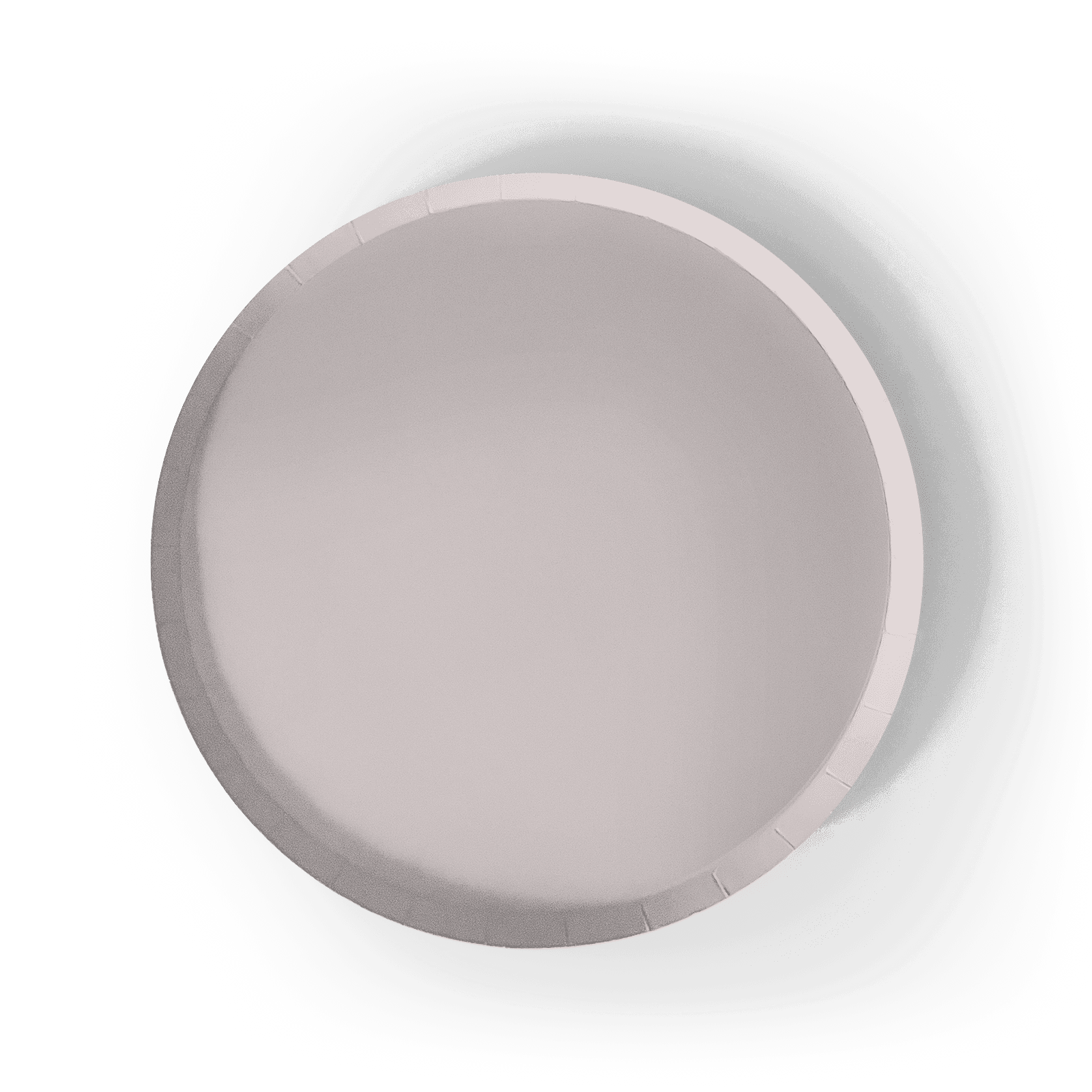 Gray Paper Party Plate (8pcs) - Josi James - 9 Inch Plate